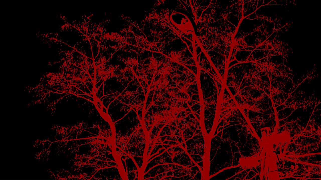 Backdrop – The Sounds of 7am