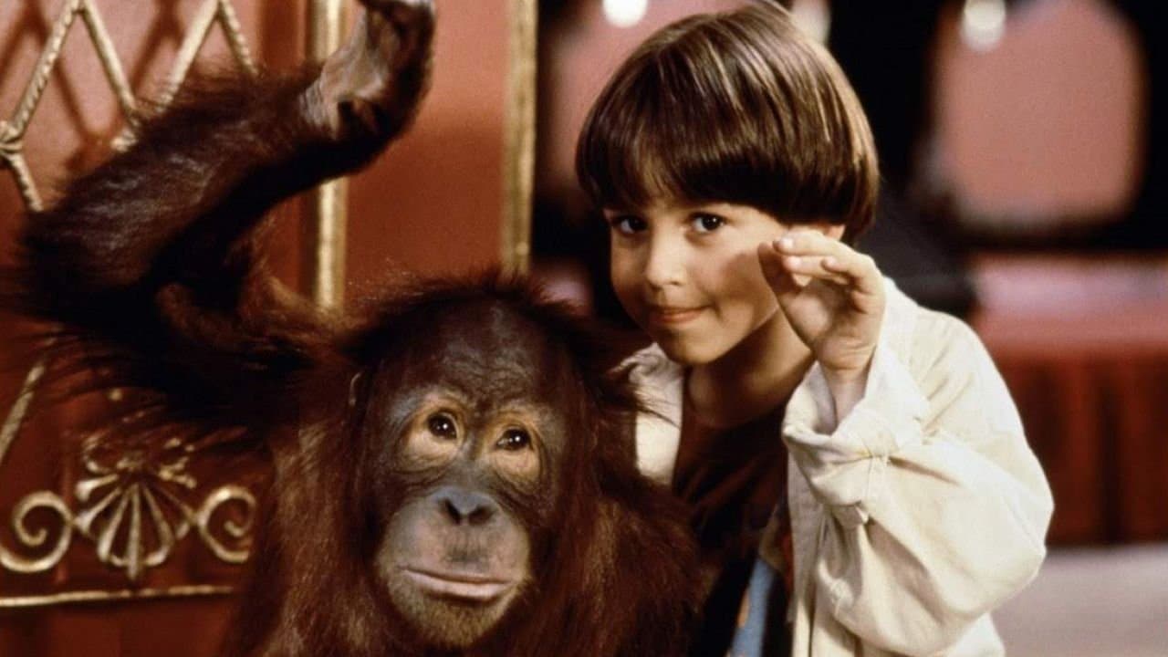 Backdrop – Dunston - Allein im Hotel