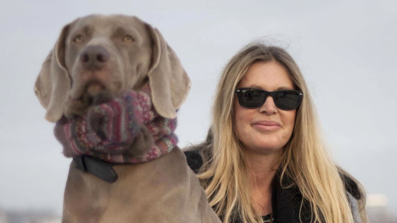 Backdrop – Walking with Dogs: A Wonderland Special