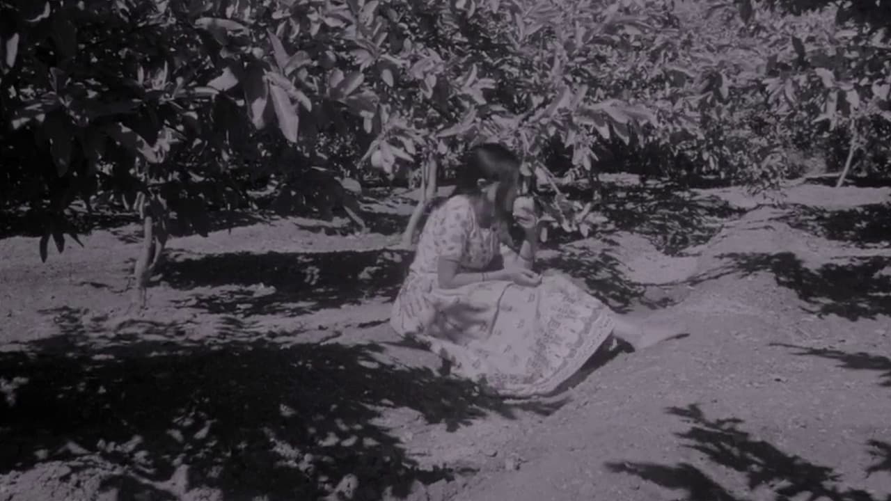 Backdrop – सुमन