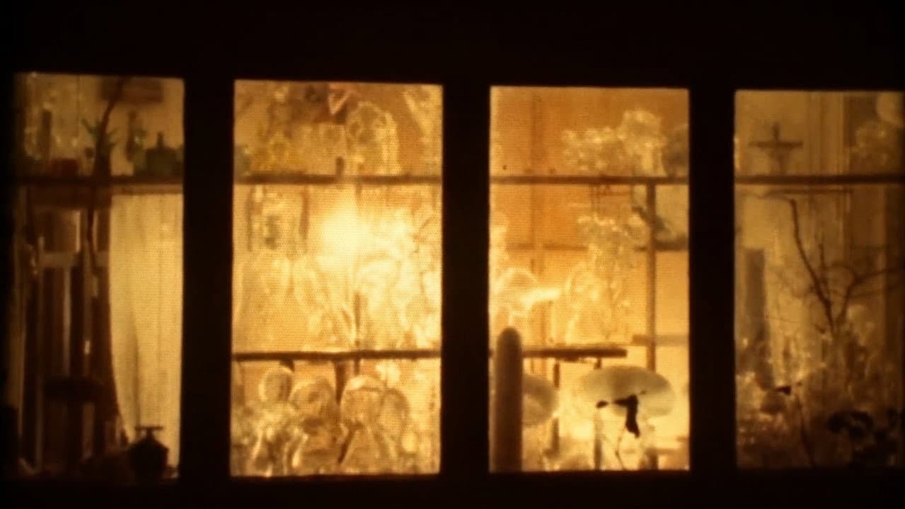 Backdrop – Umění ohně