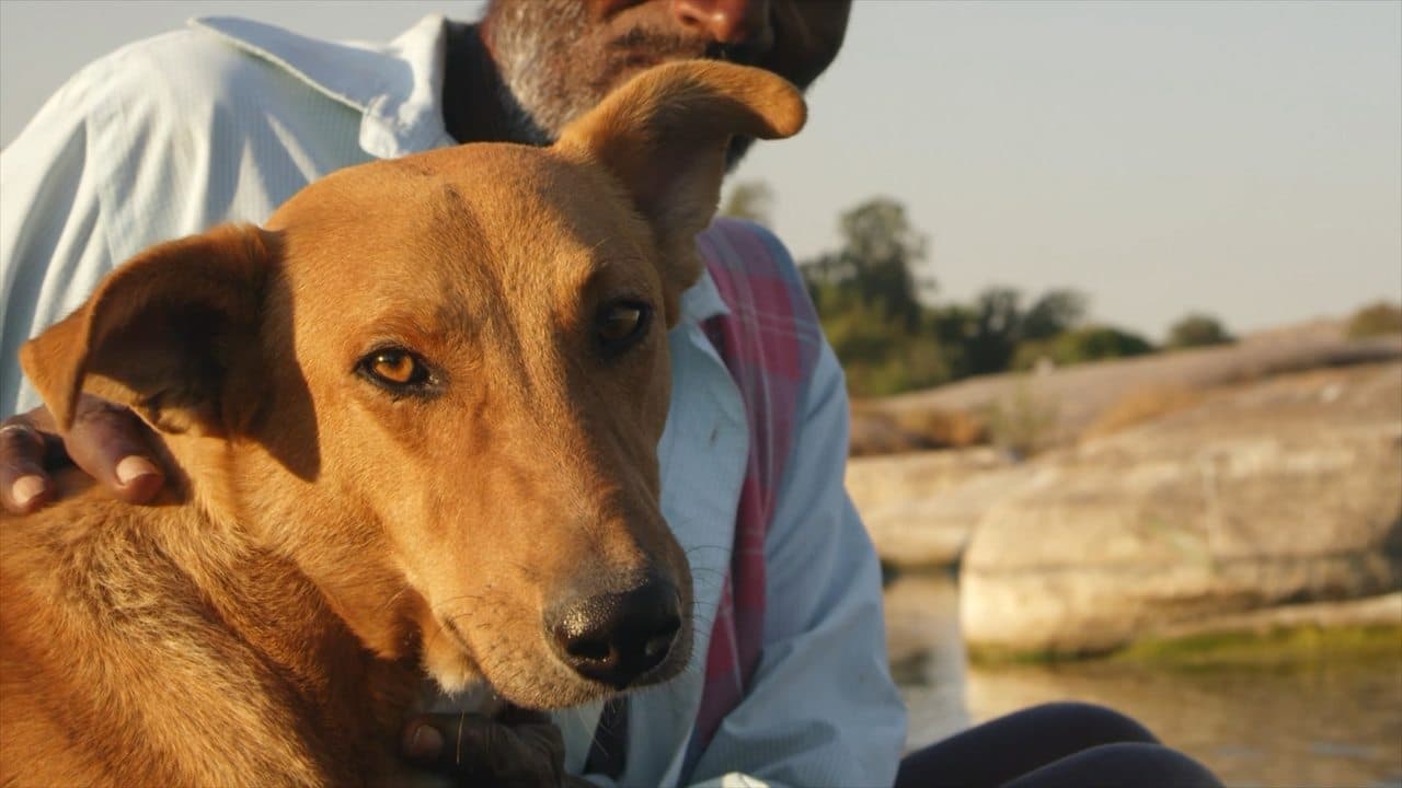 Backdrop – Man's First Friend