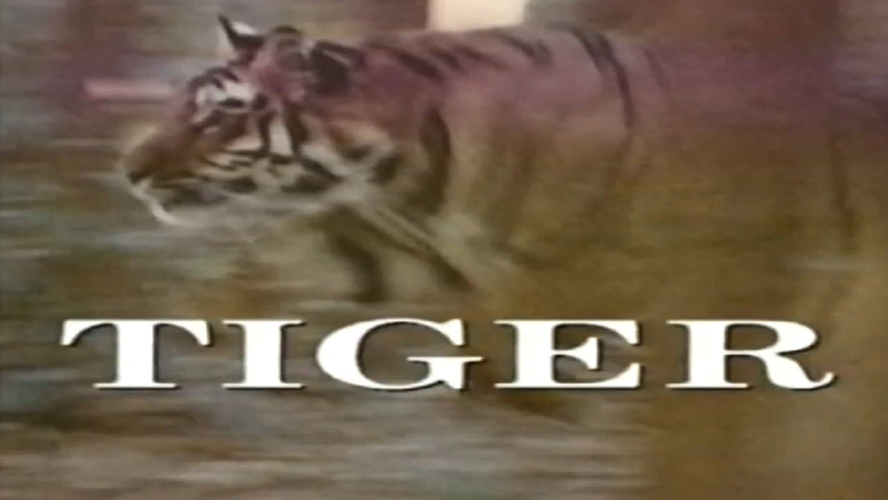 Backdrop – Predators of the Wild: Tiger
