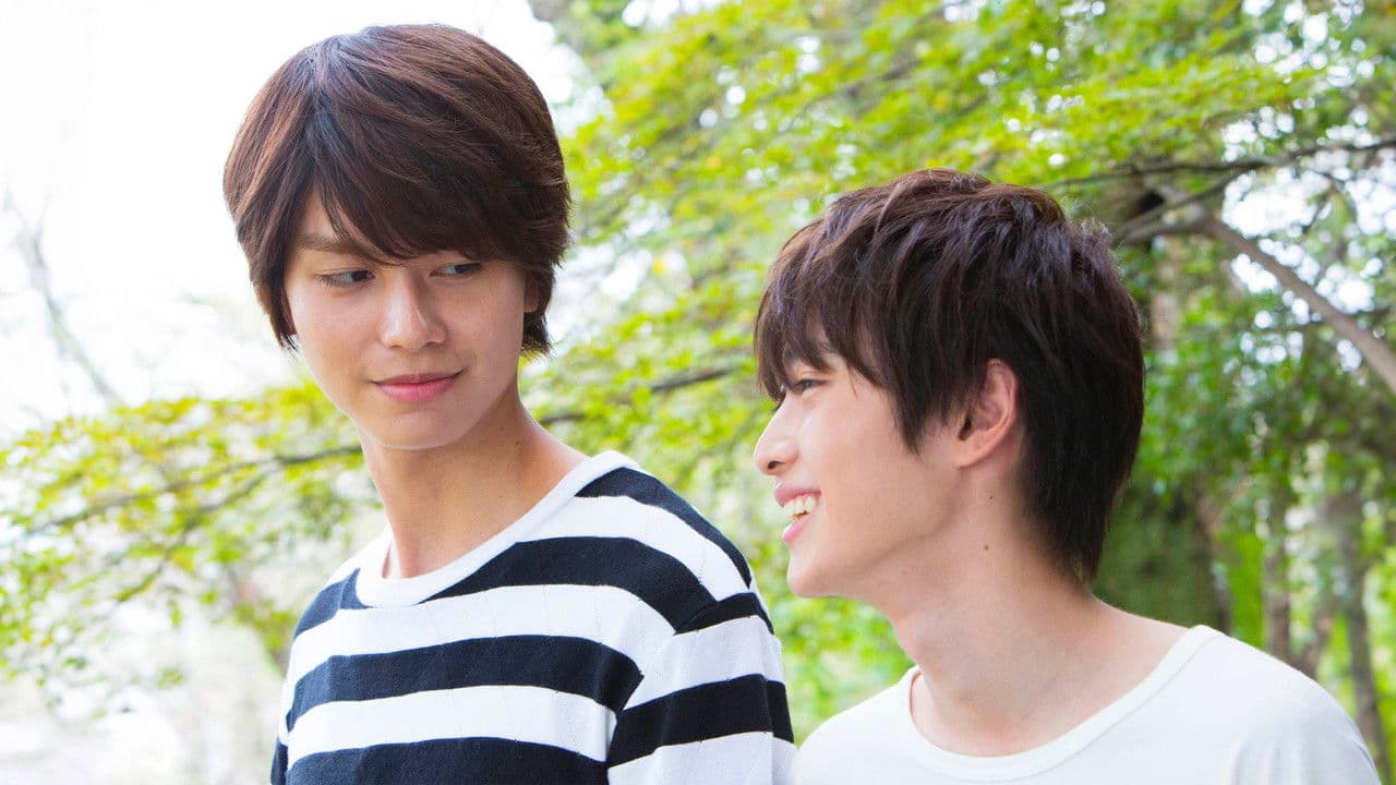 Backdrop – ひだまりが聴こえる