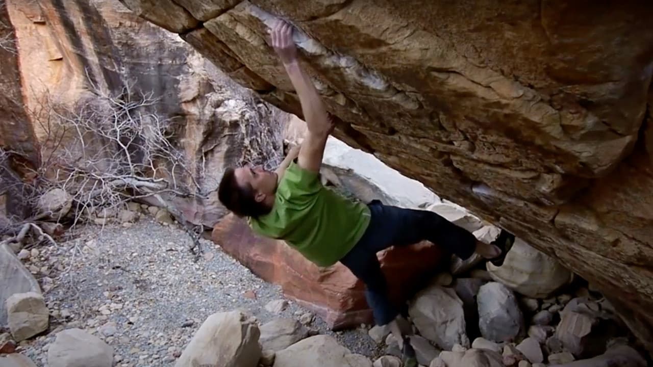 Backdrop – Western Gold