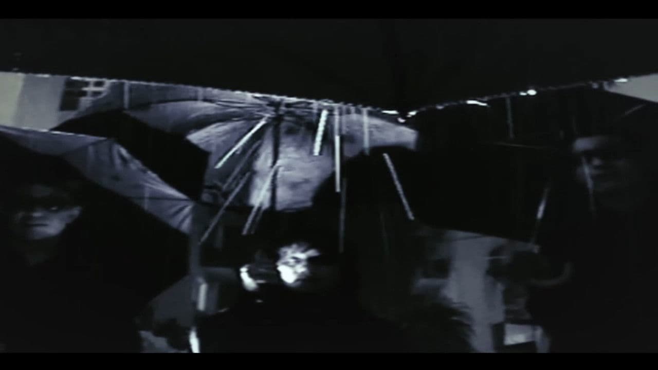 Backdrop – Etapa Gris