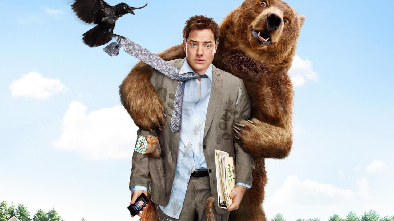 Backdrop – Reine Fellsache