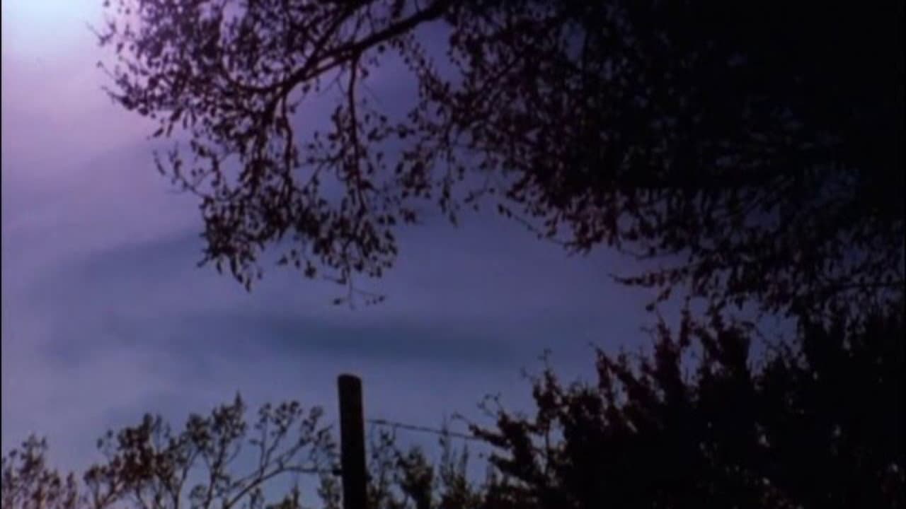 Backdrop – The Stars Are Beautiful