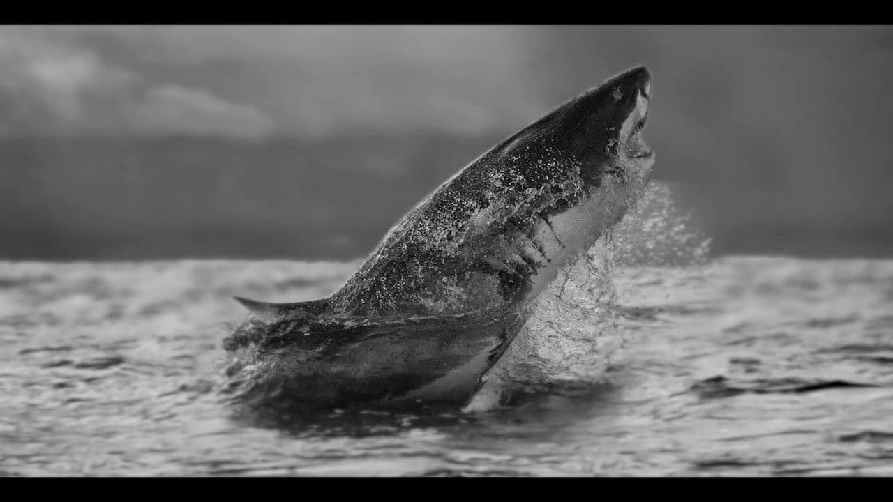 Backdrop – Air Jaws Strikes Back