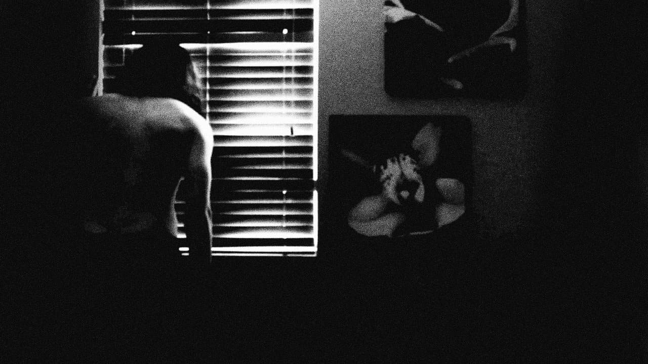 Backdrop – Homebody