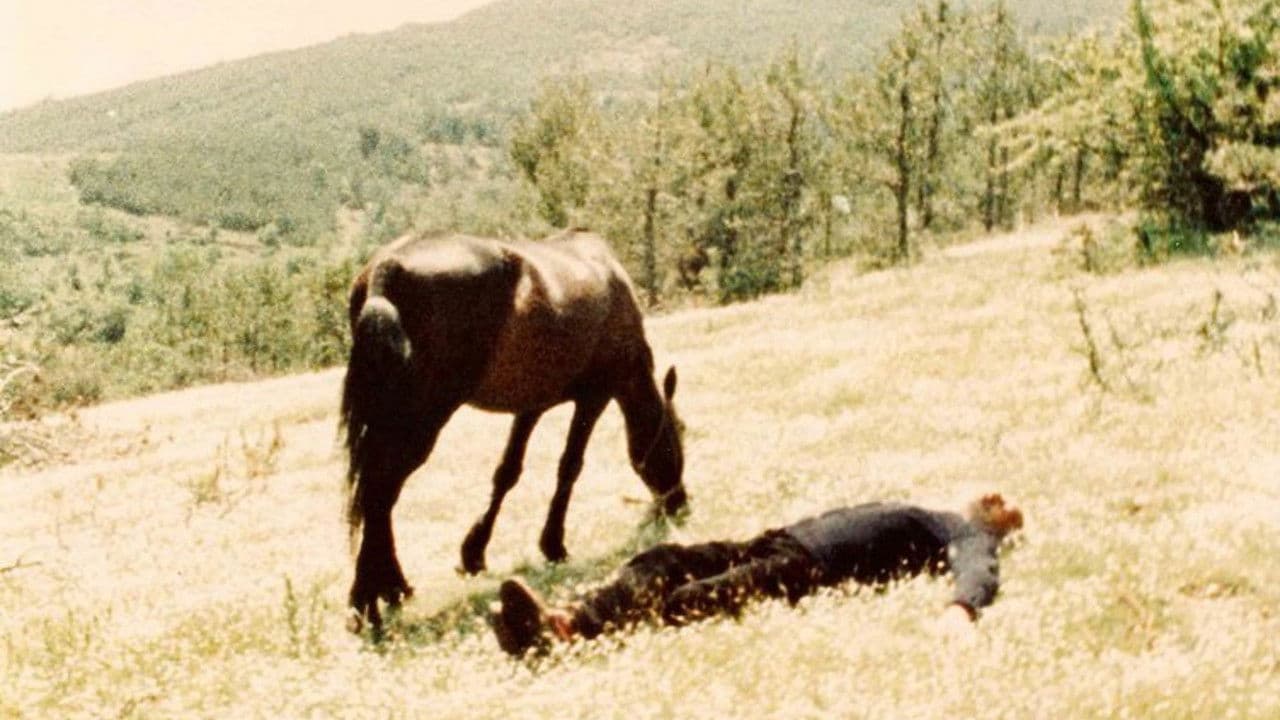 Backdrop – Μπαλαμός