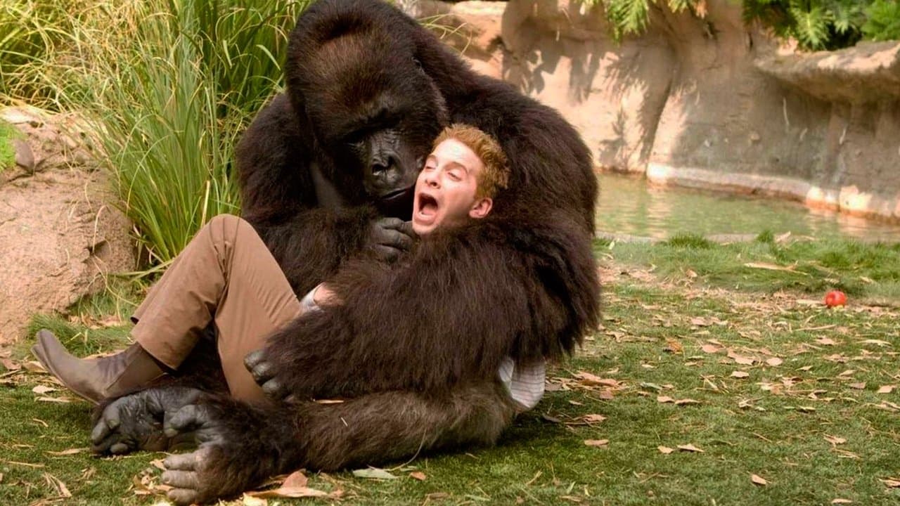 Backdrop – Old Dogs - Daddy oder Deal