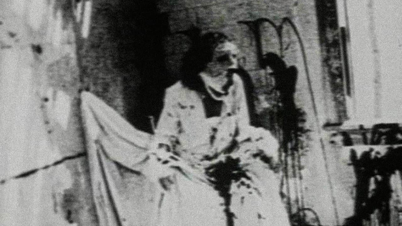Backdrop – Begotten