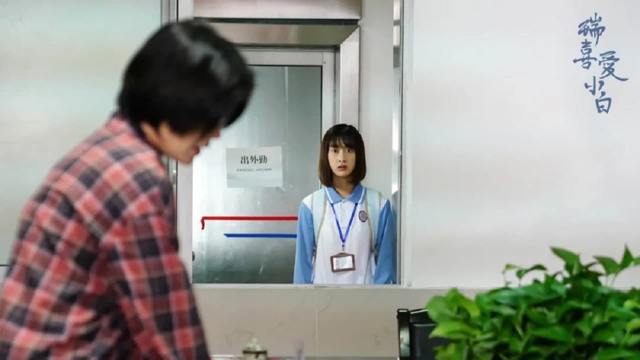 Backdrop – 瑞喜爱小白