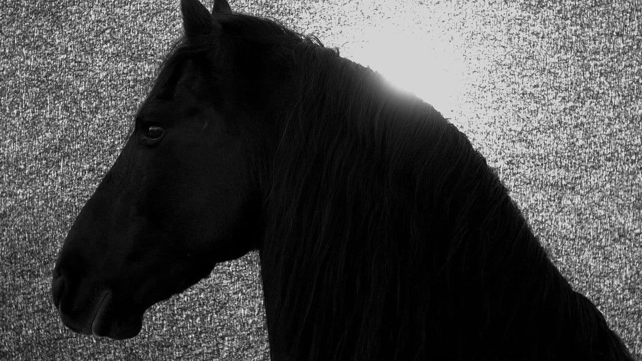 Backdrop – Absent Now the Dead