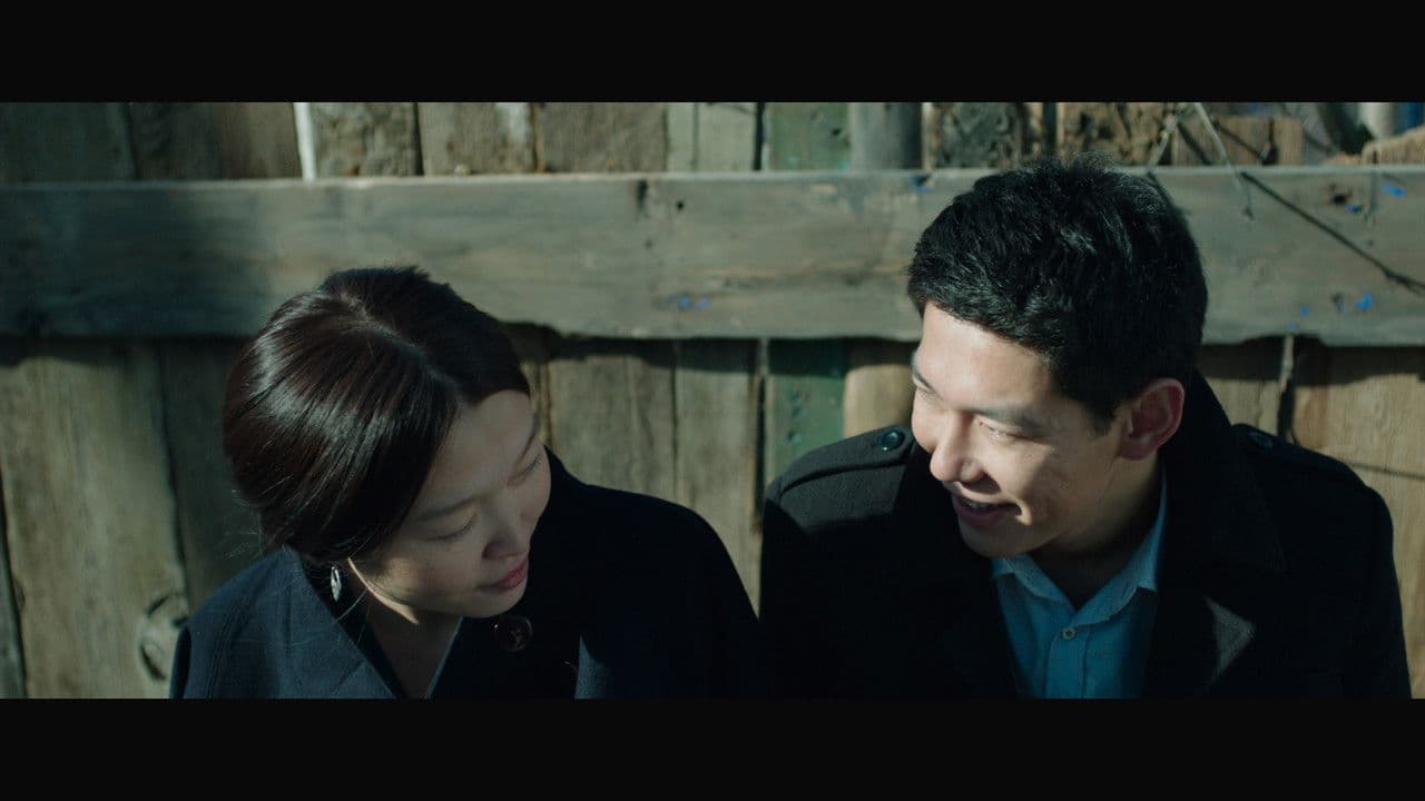 Backdrop – Чайки