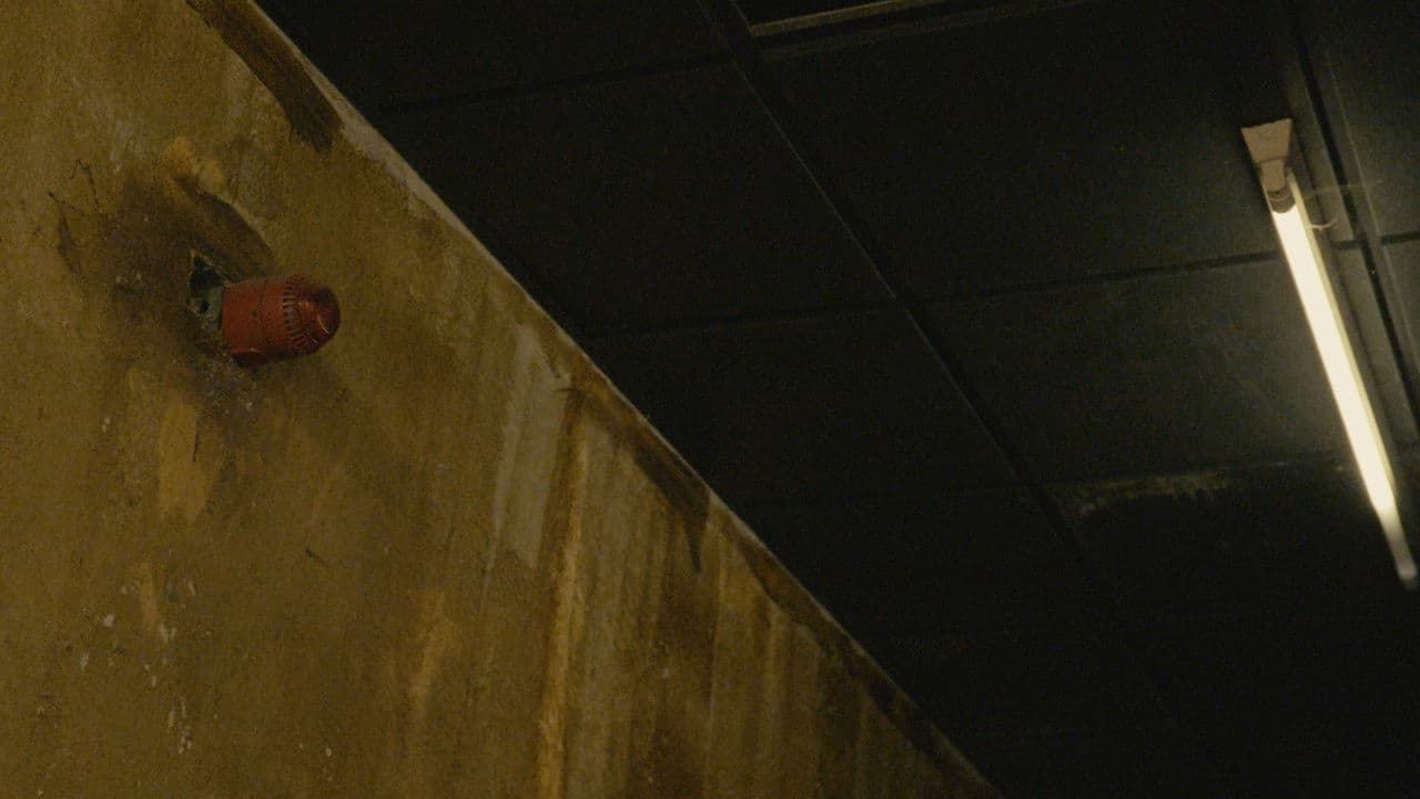 Backdrop – La Última Función