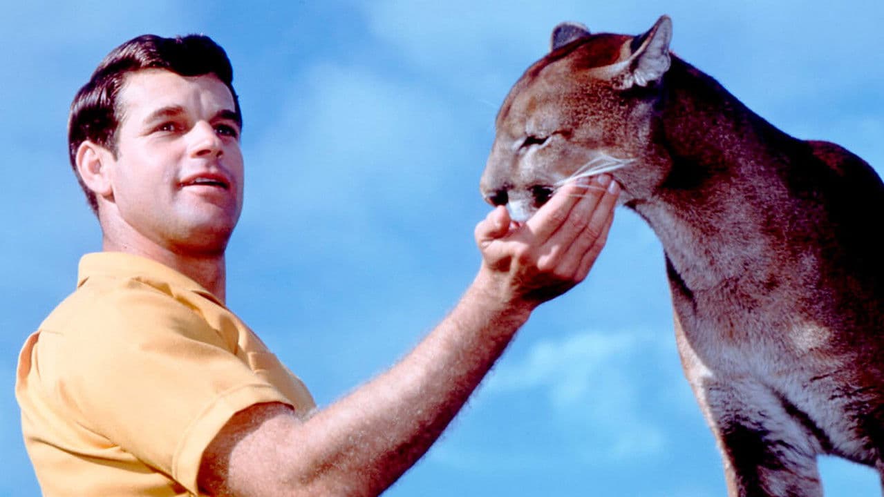 Backdrop – Der einsame Puma