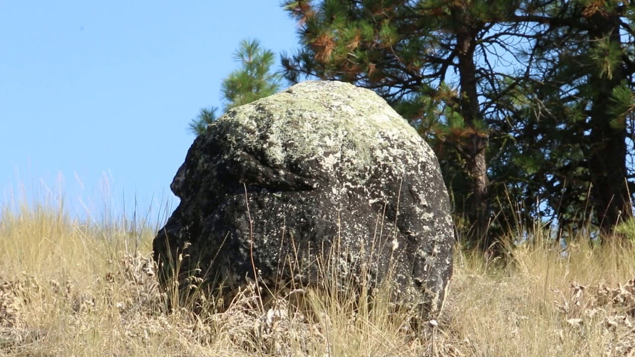 Backdrop – Origins of consciousness