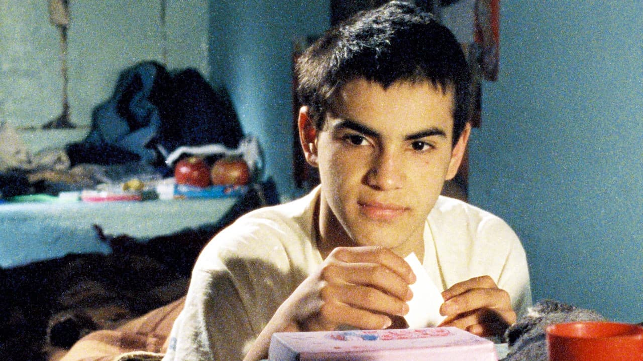 Backdrop – El Polaquito