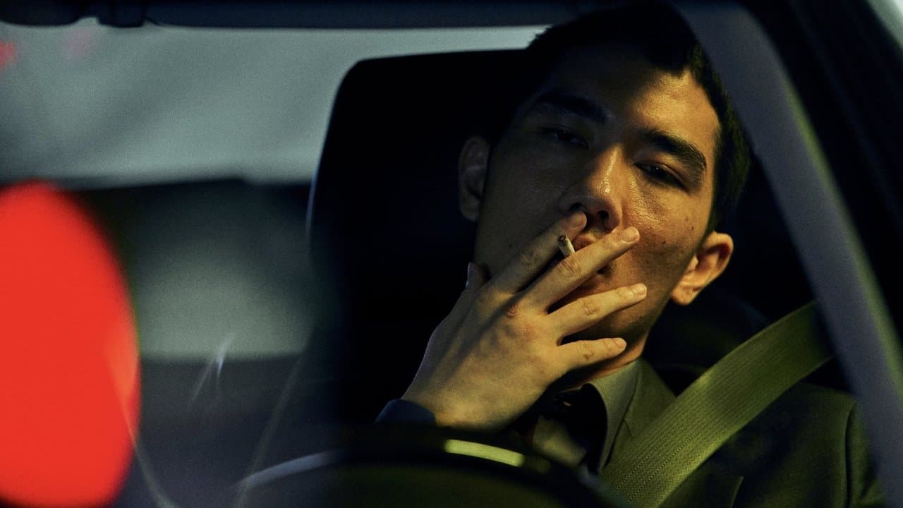 Backdrop – Night in Paradise