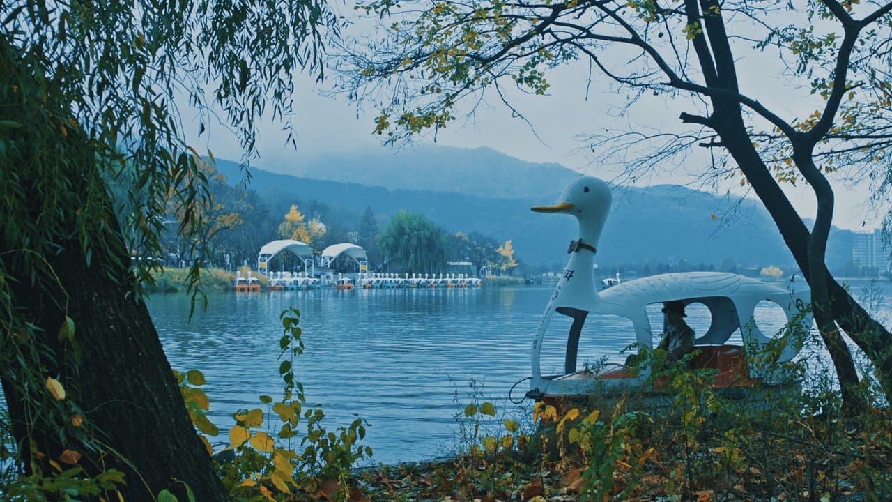 Backdrop – 수성못