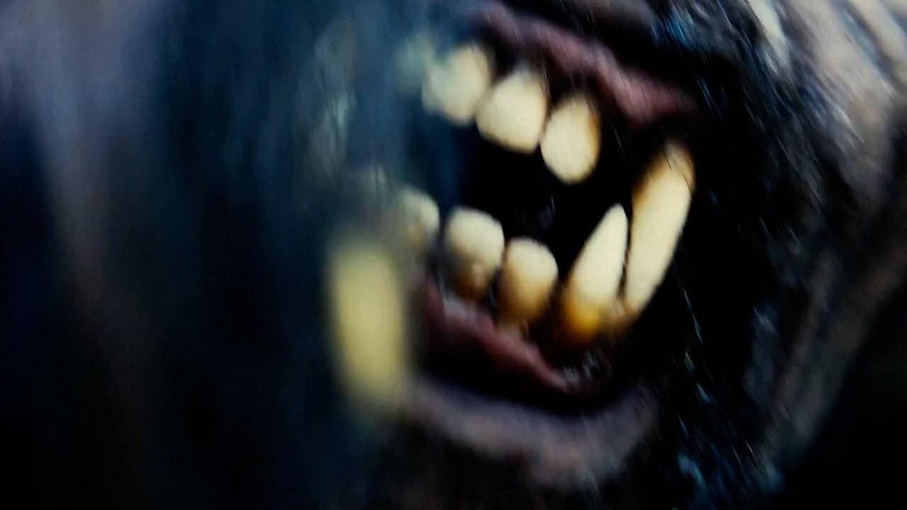 Backdrop – Tahoe Joe 2: The Sierra Nevada Bigfoot Conspiracy
