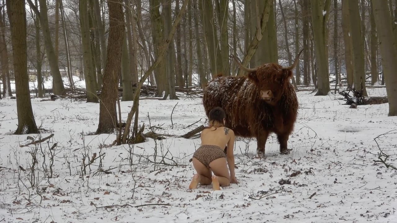 Backdrop – Missing Link