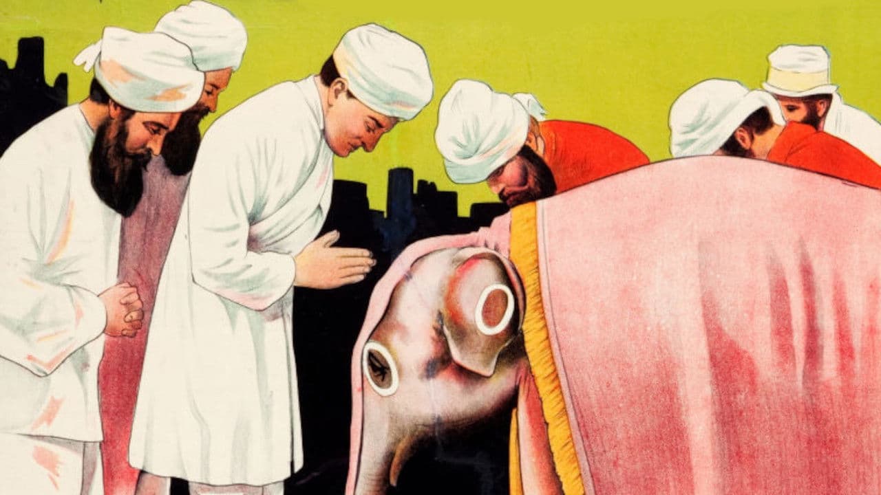 Backdrop – The Adventures of Kathlyn