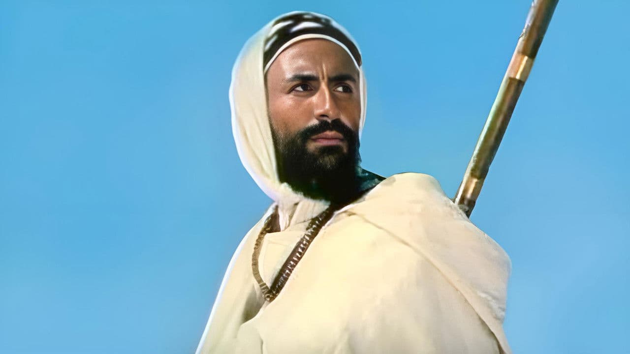 Backdrop – الشيخ بوعمامة