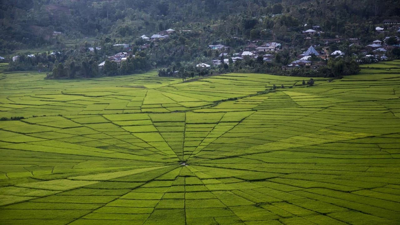 Backdrop – Le Soliloque des muets
