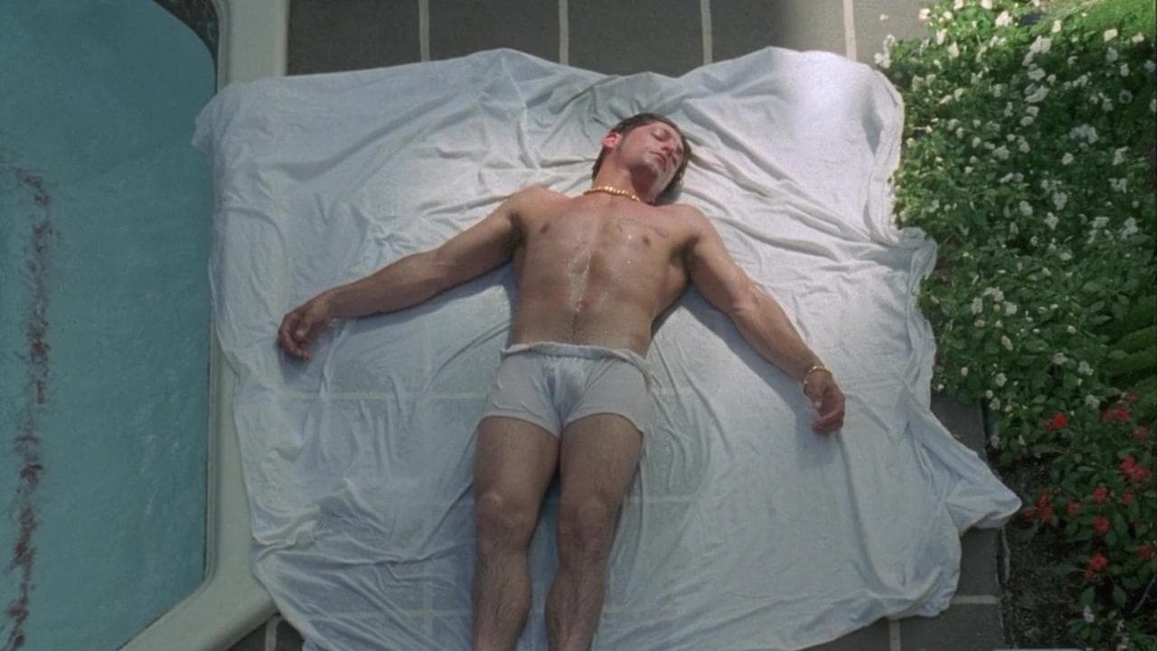 Backdrop – Hustler White