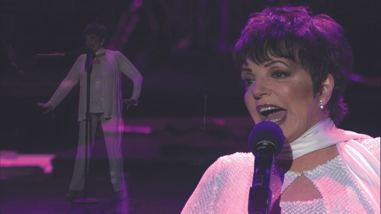 Backdrop – Liza Minnelli: Liza's at The Palace