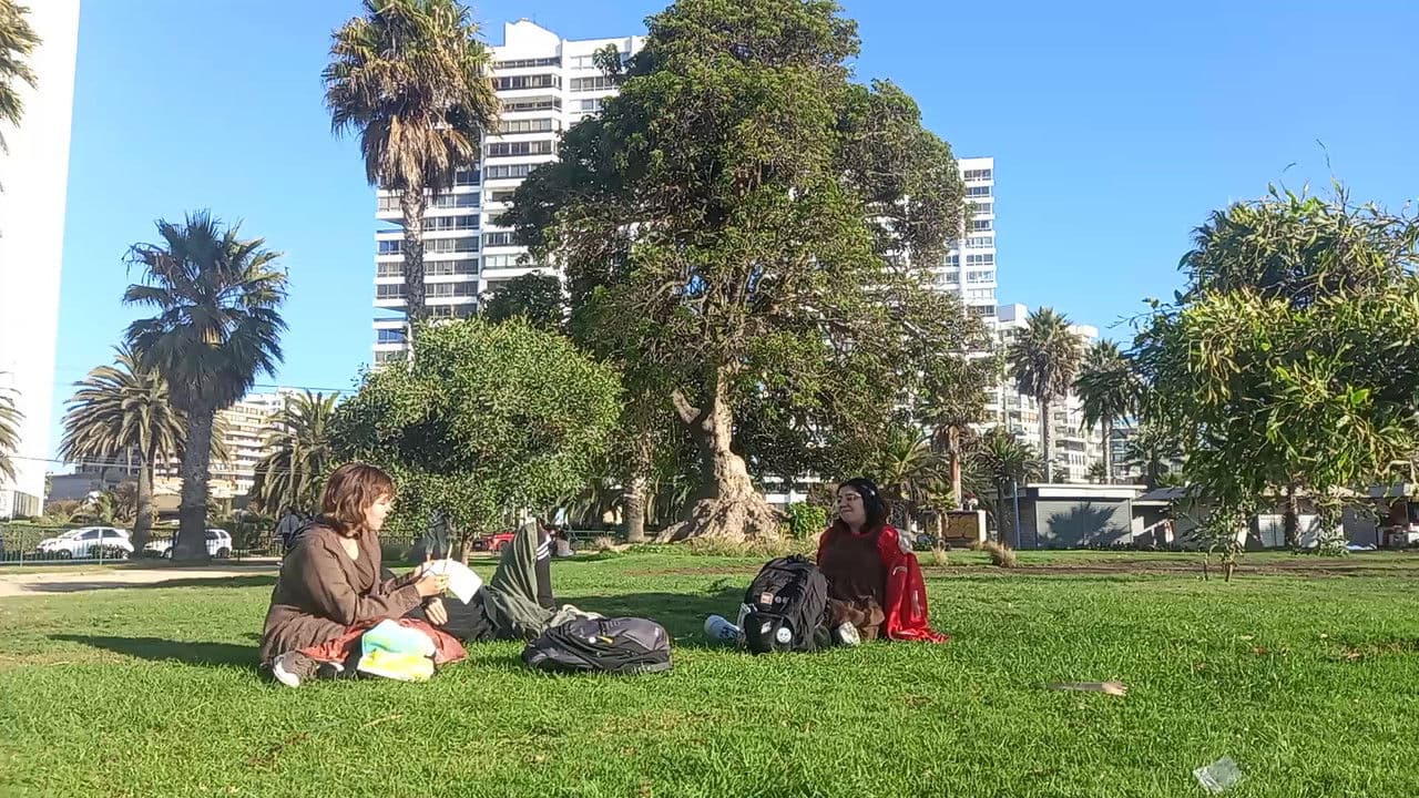 Backdrop – ¡Vaya colmena, tío!