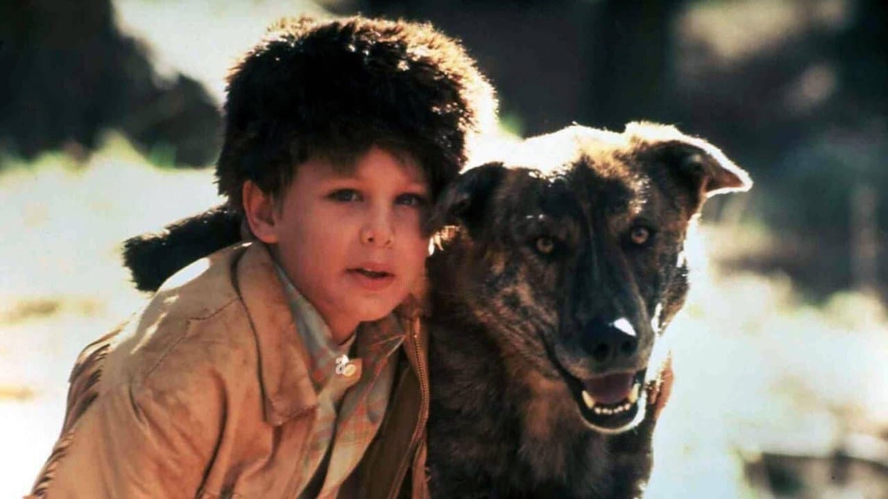 Backdrop – Rugged Gold