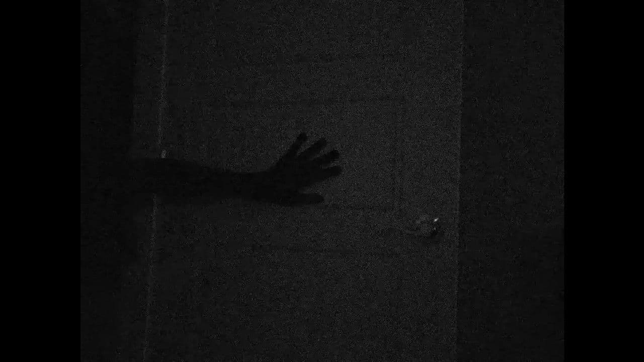 Backdrop – The Friend