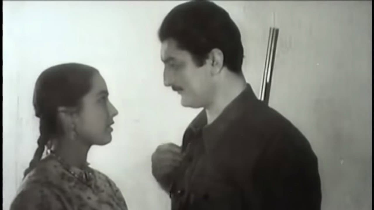 Backdrop – Qızmar Günəş Altında