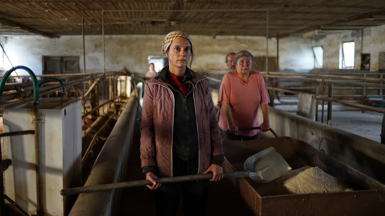 Backdrop – Trockenzeit