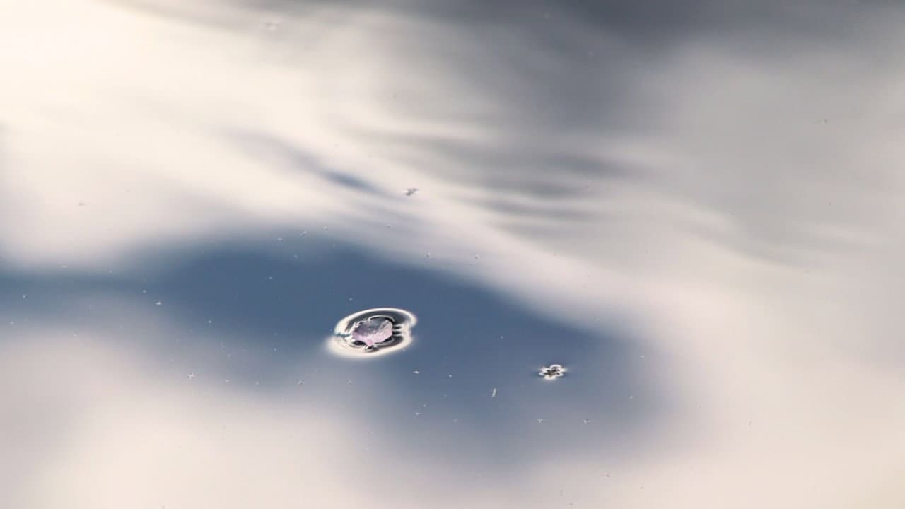 Backdrop – The Last Vigil