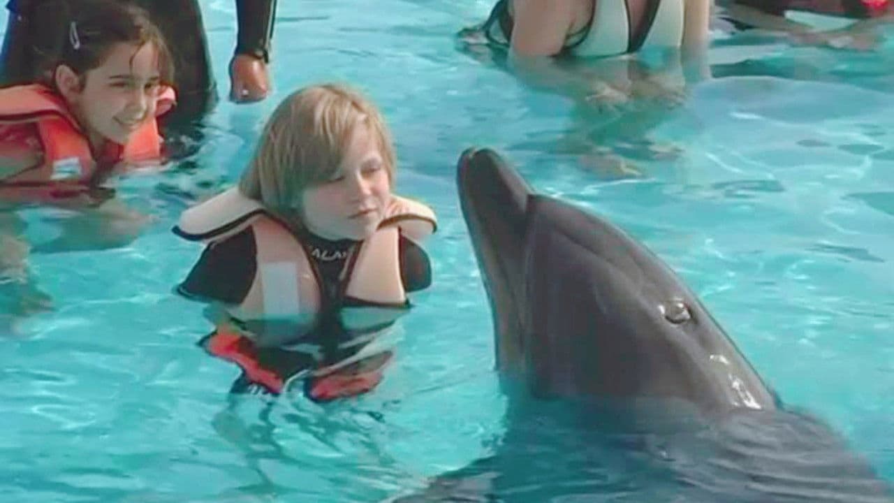 Backdrop – Saving Flipper