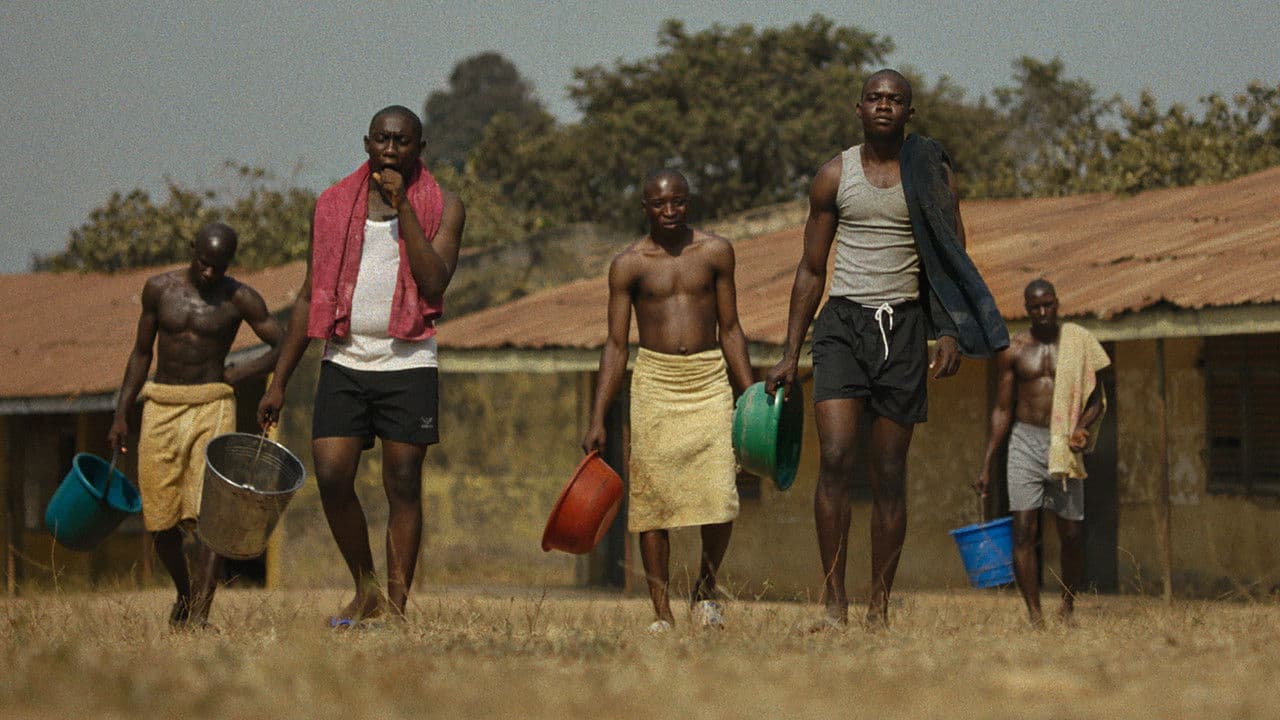 Backdrop – Harmattan