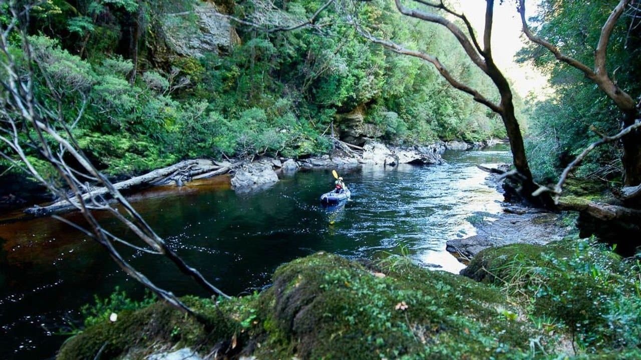 Backdrop – Franklin