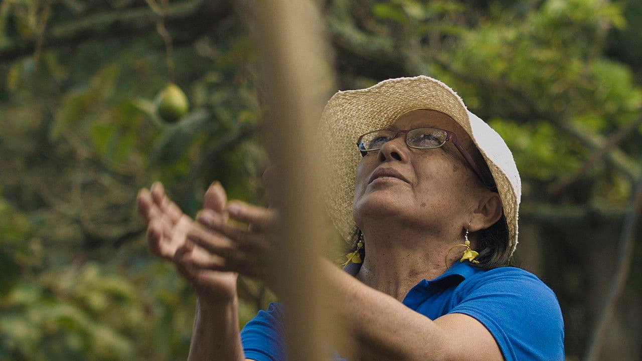 Backdrop – Tierra de mujeres