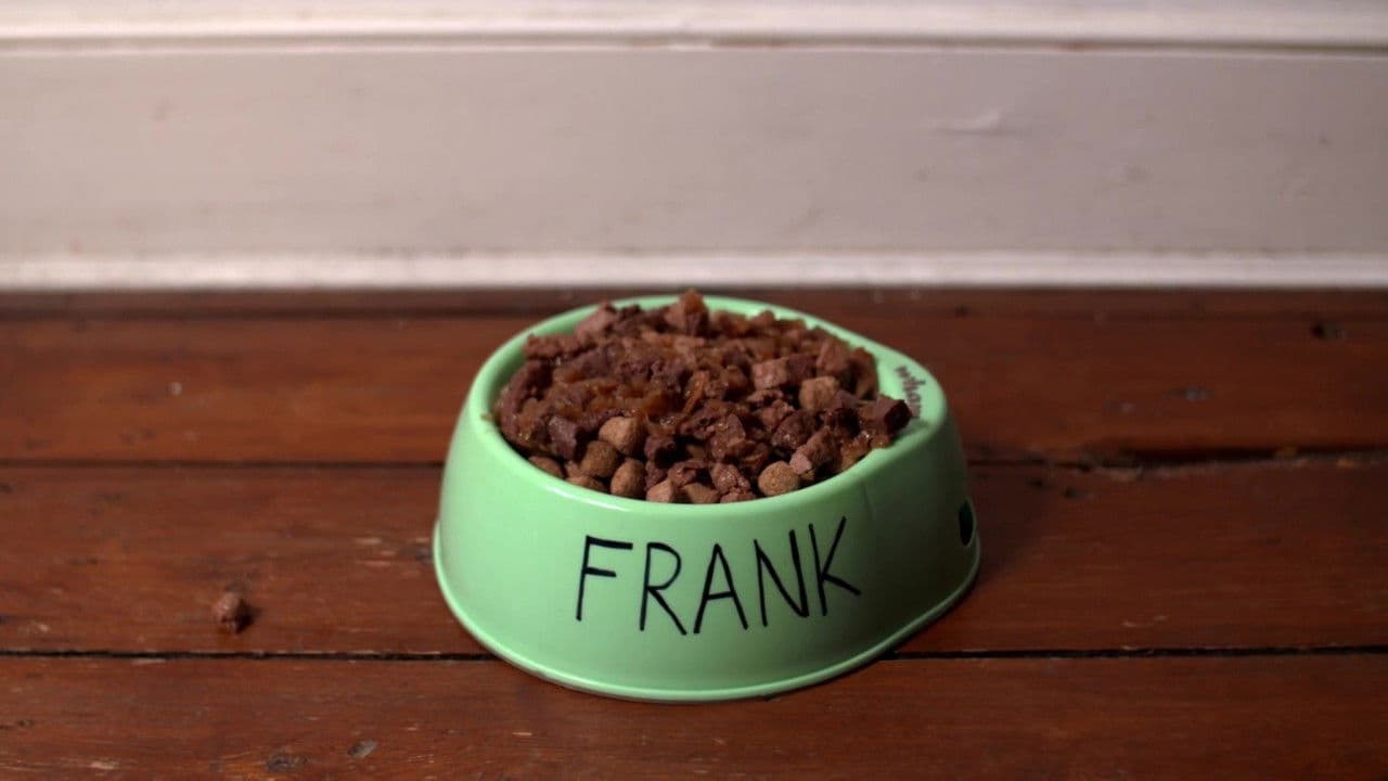 Backdrop – L.T.'s Theory of Pets