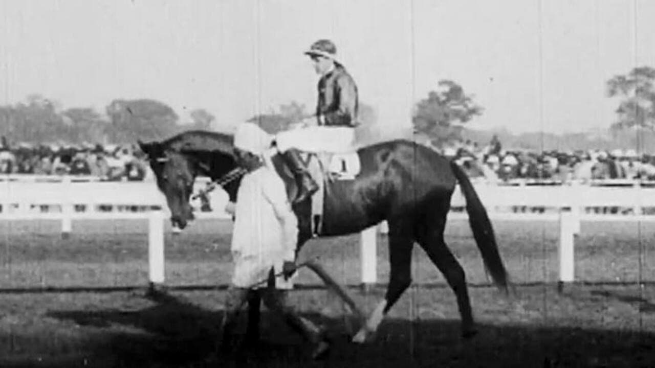 Backdrop – Calcutta Topical No. 1