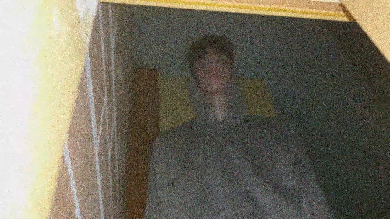 Backdrop – Redwood