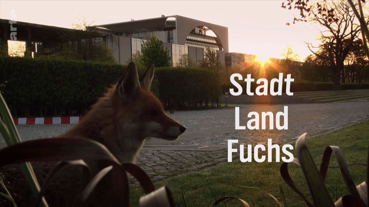 Backdrop – Stadt, Land, Fuchs!