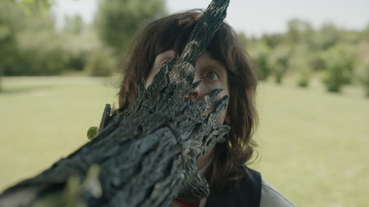 Backdrop – The Taking Tree