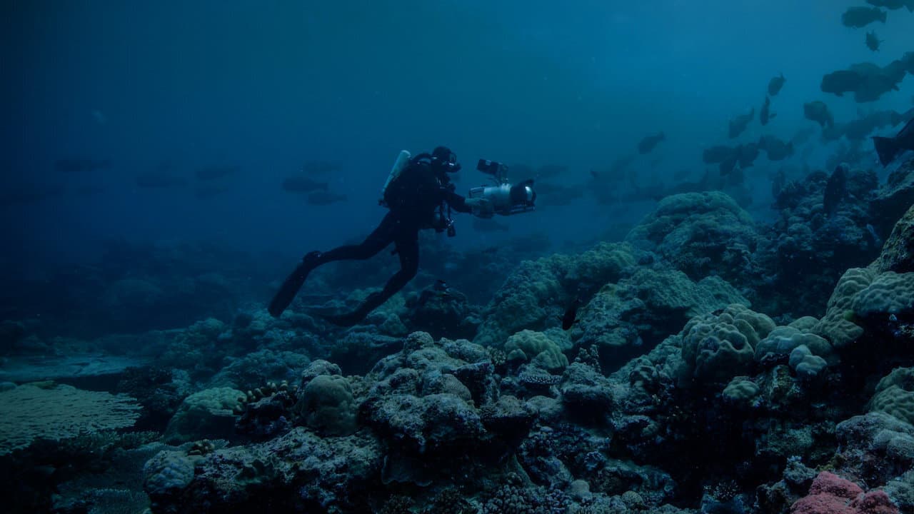 Backdrop – Night on Earth: Shot in the Dark