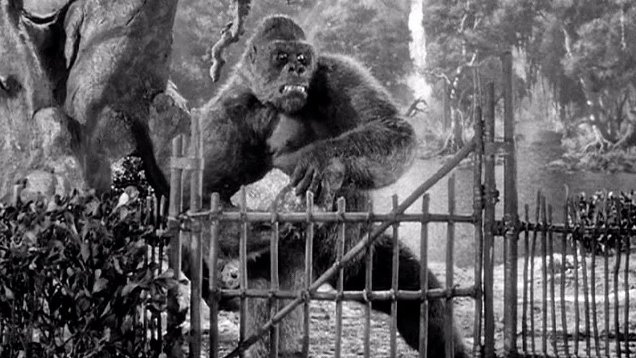 Backdrop – Panik um King Kong